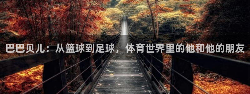 杏宇3官网