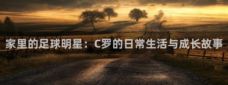 杏宇体育网页版入口