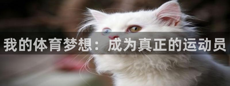 意昂平台注册：我的体育梦想：成为真正的运动员