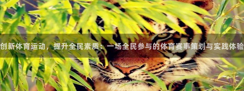 杏宇体育代理：创新体育运动，提升全民素质：一场全民参与的体育赛事策划与实践体验